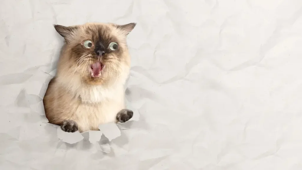 8. Memes para narrativa visual (visual storytelling) en presentaciones y ventas ¿Has tenido alguna vez la impresión de que los asistentes a tus presentaciones se desconectan al cabo de unos minutos? Introducir un meme puntual en una presentación comercial o de producto rompe el hielo, acerca al ponente al público y contribuye a reforzar la retención del mensaje clave. Es una forma eficaz de aplicar el marketing de memes B2B más allá de las redes sociales, integrándolo en la narrativa visual de tus reuniones. Una pieza humorística bien integrada, cuando presentas un producto o servicio a clientes potenciales o, incluso, a equipos internos, subraya un problema del sector, contextualiza un dato o te permite enlazar directamente con la solución que aportas. En campañas B2B complejas, este recurso facilita la comprensión y aligera los momentos más técnicos. Haz que tu presentación sea inolvidable con memes. Si utilizases uno con un comercial mirando un CRM saturado y pensando “cuando tienes todos los datos, menos el que necesitas para decidir”, podrías introducir la propuesta única de valor de tu empresa y acercarte un paso más a la conversión.